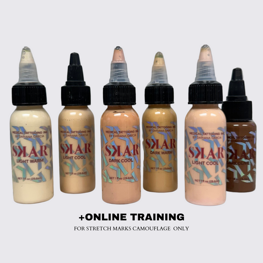 Skin Camouflage Ink Set (6 bottles) + Online Training, Ink Mixing Guide & Certificate